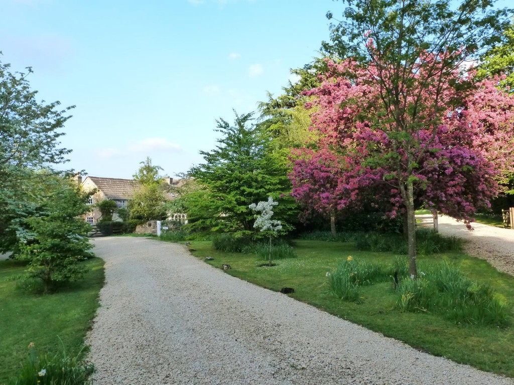 Bullock's Horn Cottage B&B