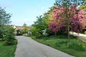 Bullock's Horn Cottage B&B