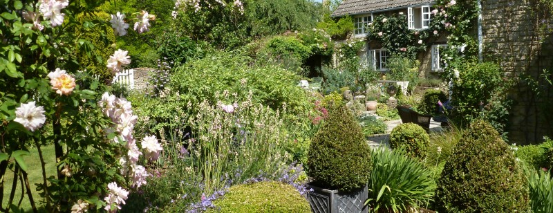 The wonderful gardens at Bullocks Horn Cottage - as featured in Magazines