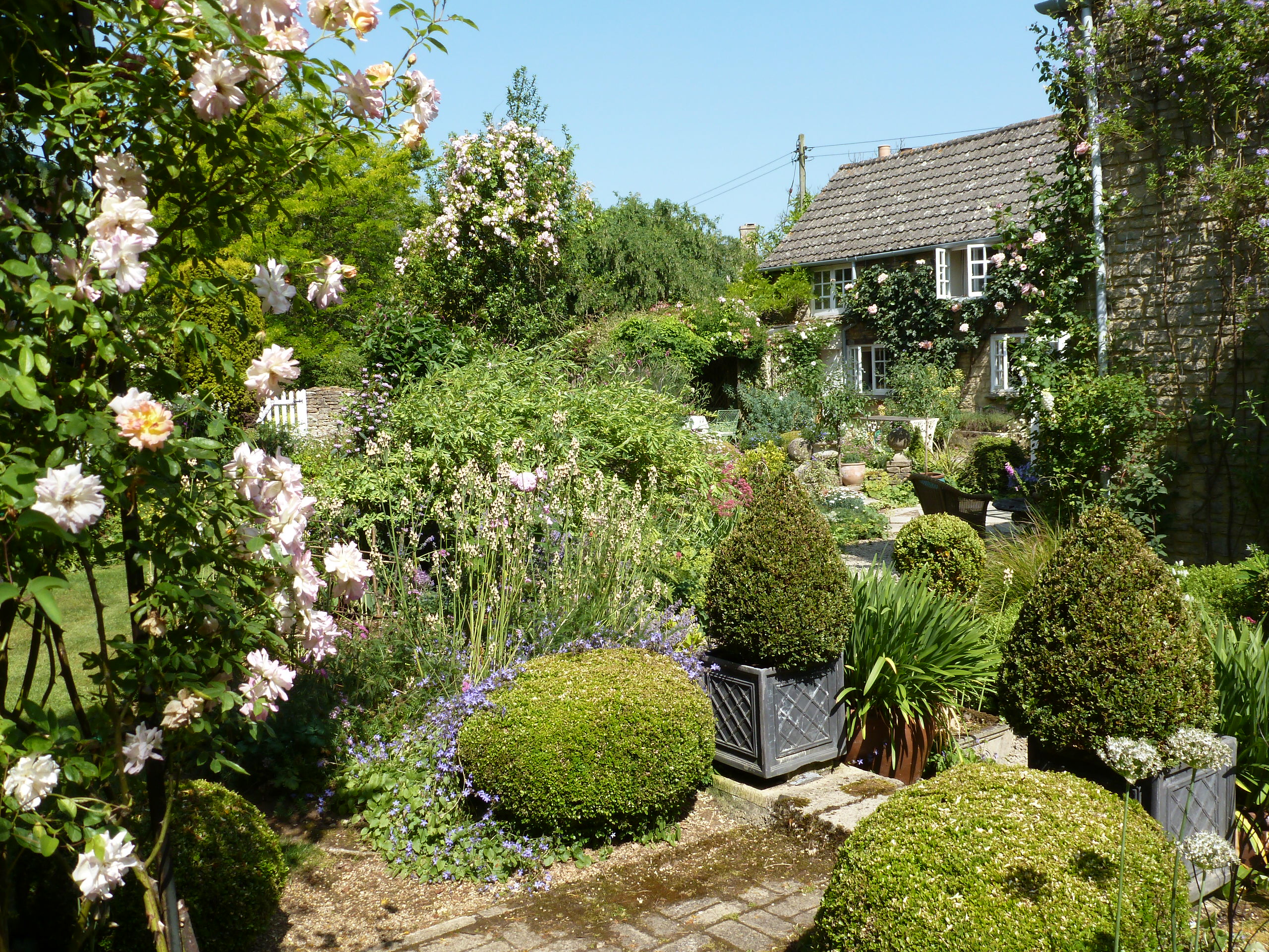 The wonderful gardens at Bullocks Horn Cottage - as featured in Magazines