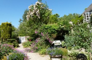 The Gardens at the B&B near Malmesbury